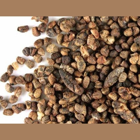 Cardamomo - Cardamom - Cúrcuma®