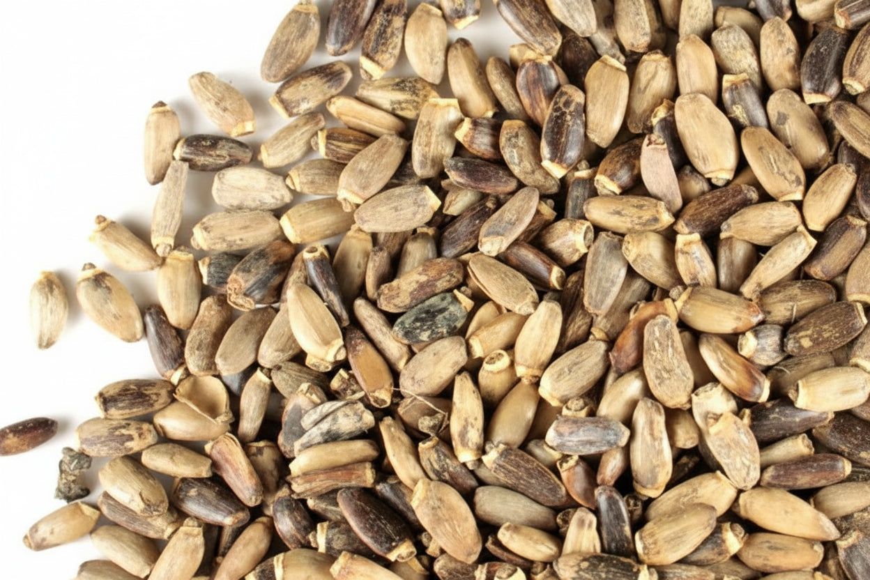 Cardo Mariano - Milk Thistle - Cúrcuma®