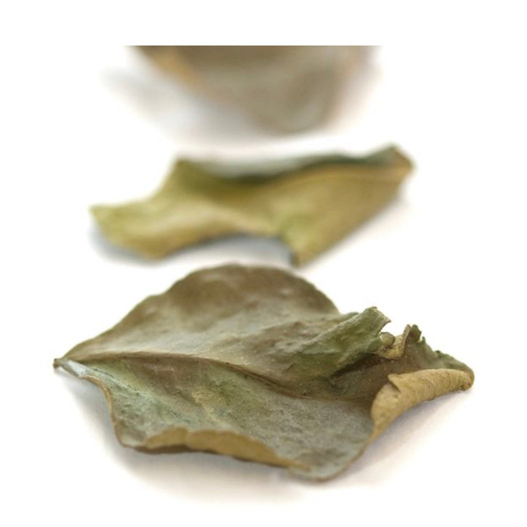 Lima Kaffir Leaves