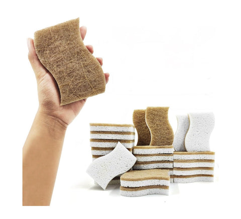 Esponja de Fibra de Coco - Plant Base Sponges Unidad