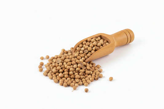 Culantro semilla - Coriander