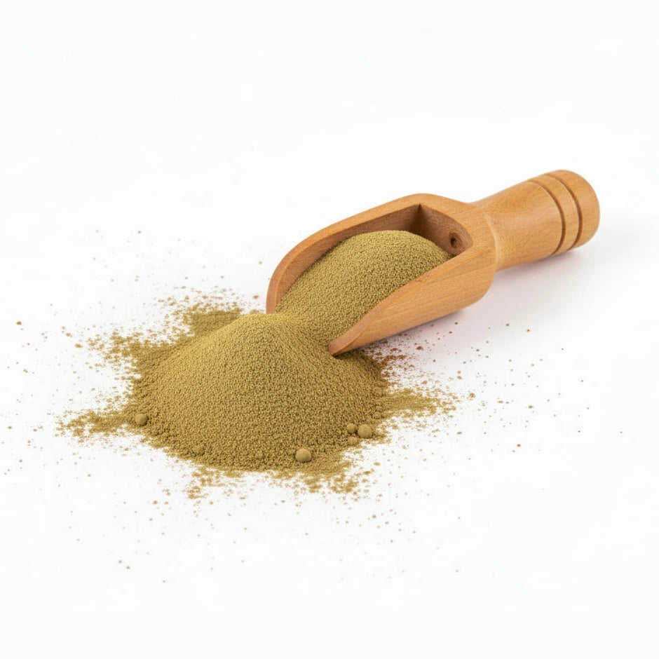 Culantro semilla - Coriander - Cúrcuma®