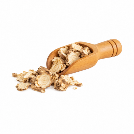 Raíz seca de galangal en cucharita de madera