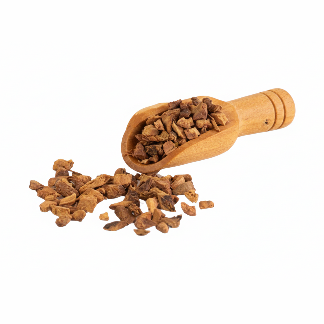 Galangal Raíz - Galangal Root - Cúrcuma®