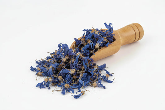 Flor de Malva Azul - Blue Malva Flower
