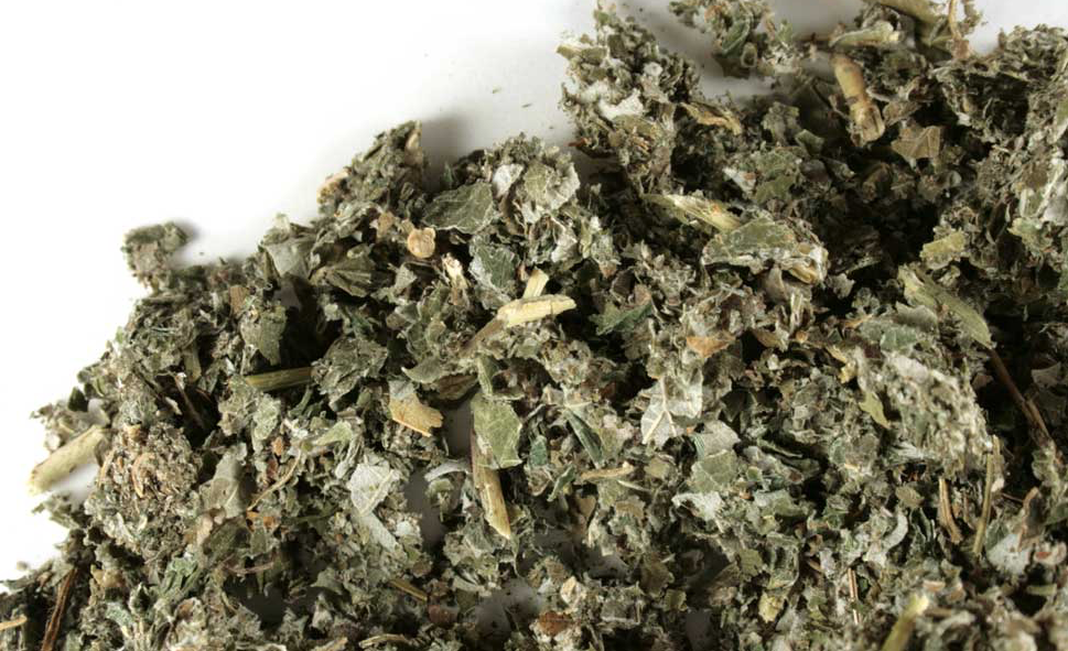 Frambuesa Hoja - Raspberry Leaf