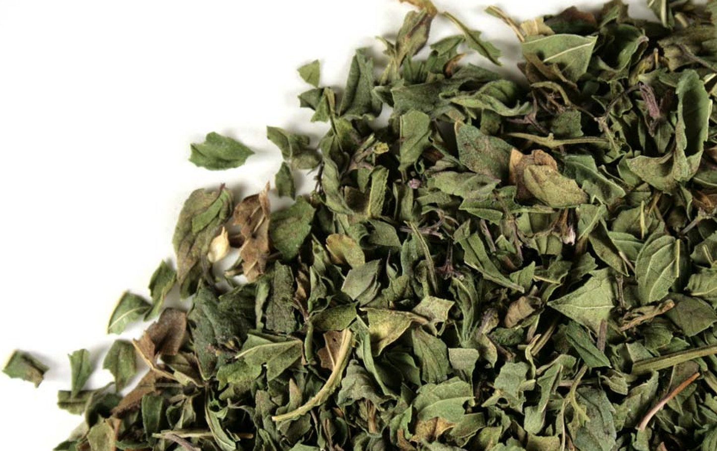 Menta Piperita - Peppermint