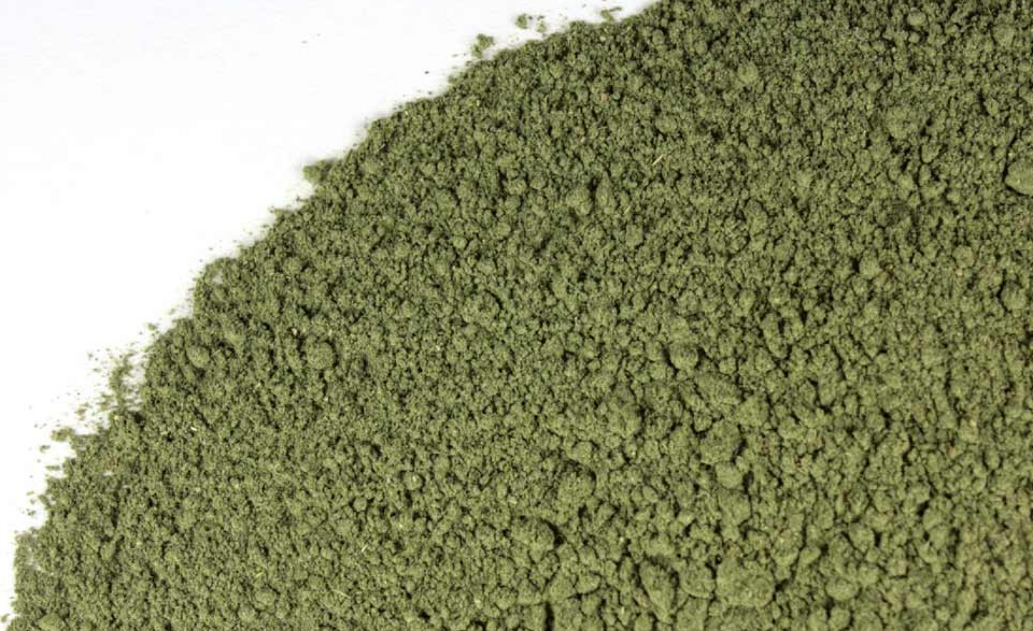 Ortiga - Nettle Leaf