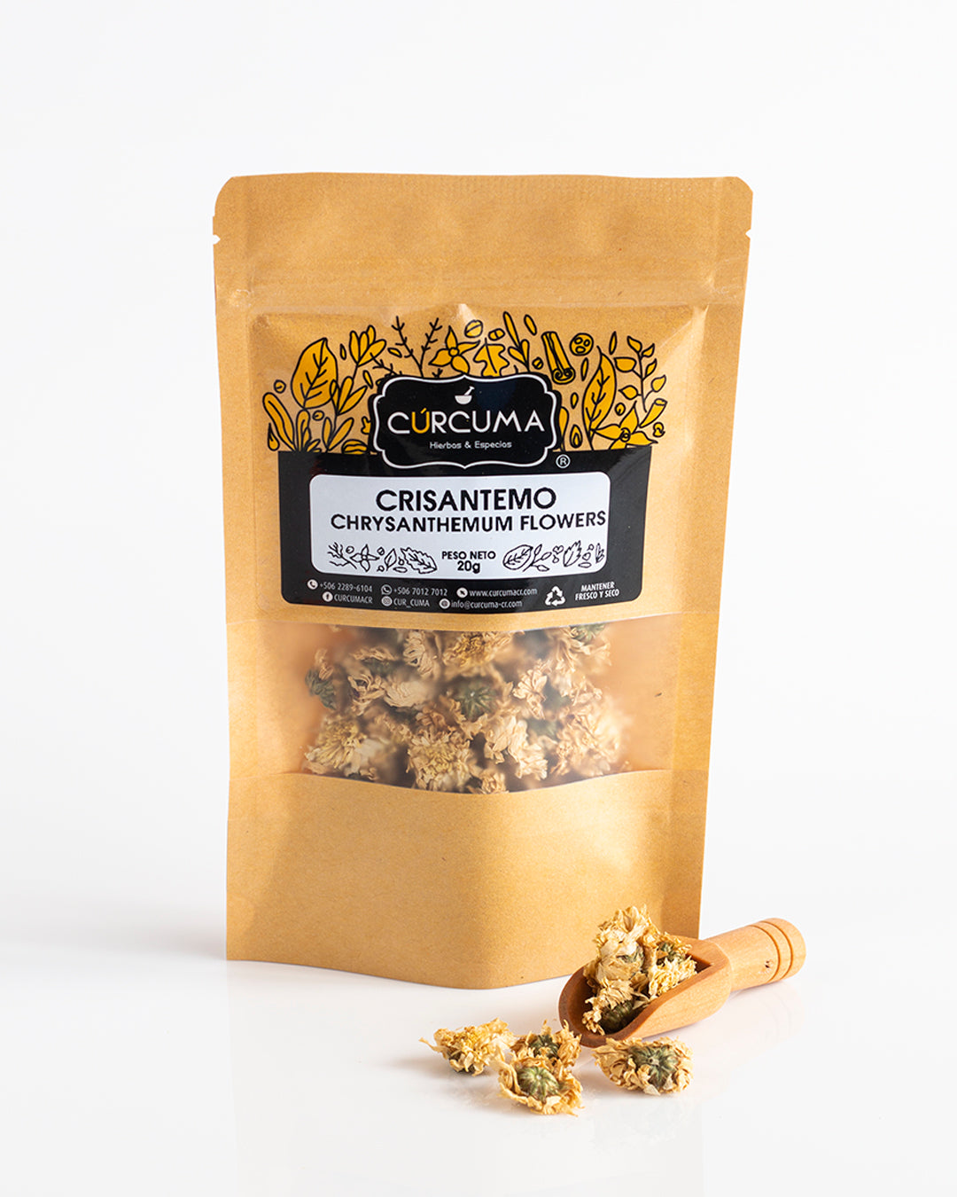 Crisantemo - Chrysanthemum