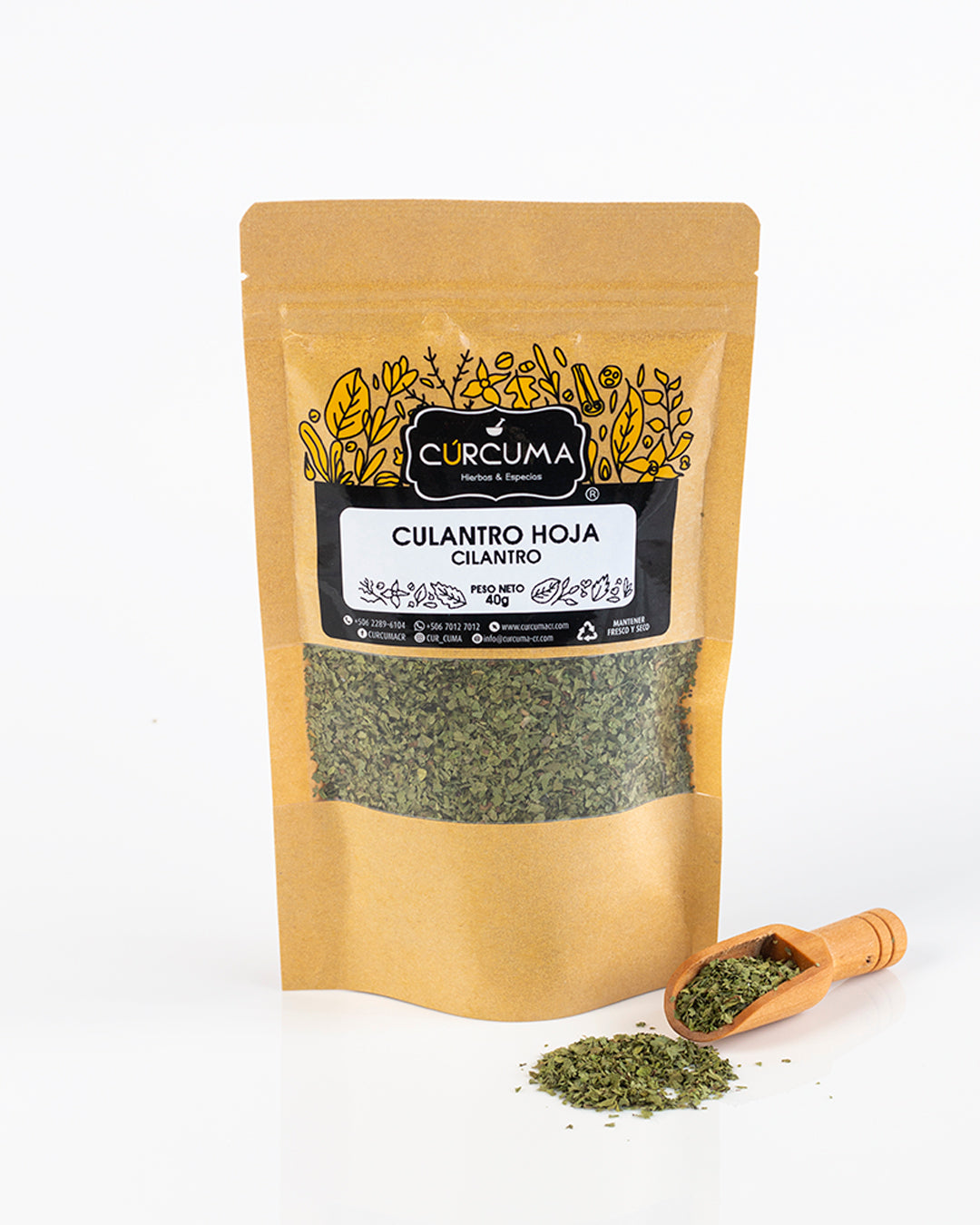 Culantro Hoja - Cilantro