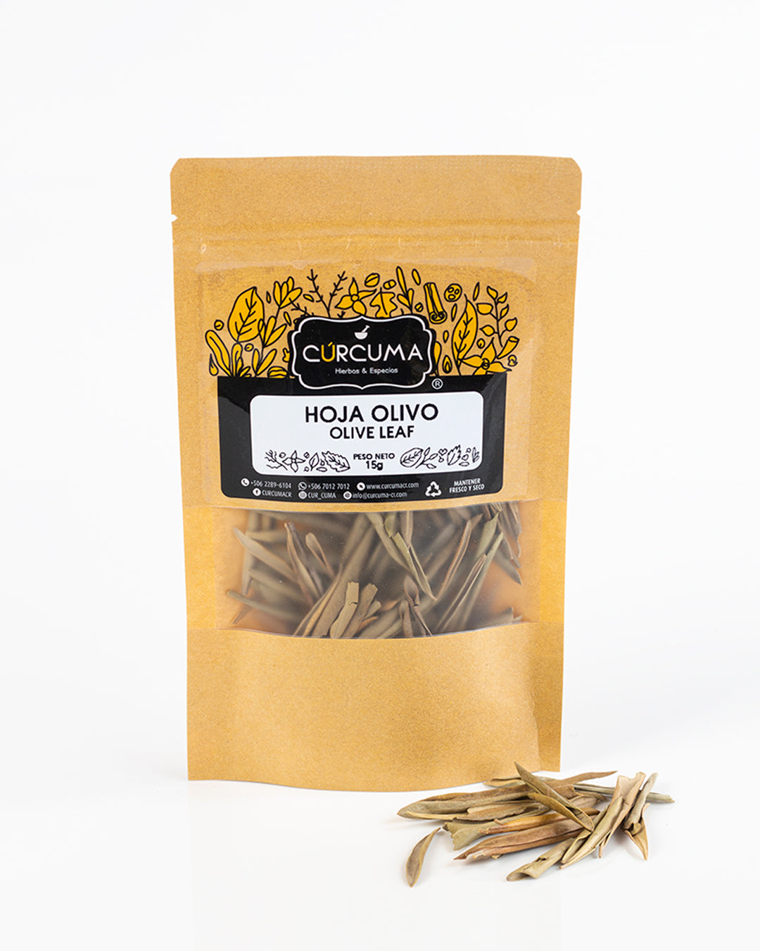 Hoja Olivo - Olive Leaf