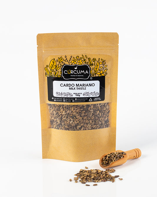 Cardo Mariano - Milk Thistle