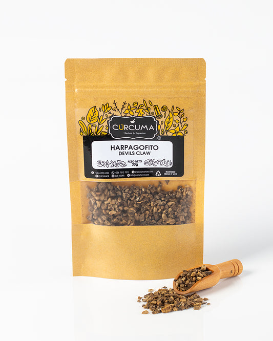 Harpagofito - Devils Claw