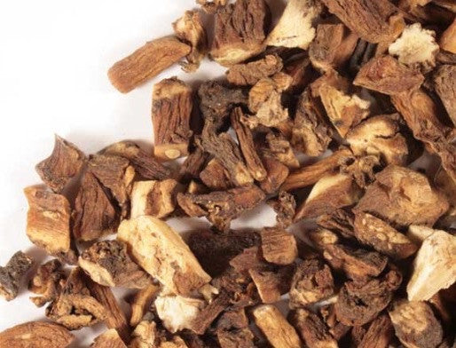 Diente de León - Dandelion