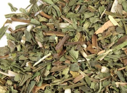 Hierba buena - Spearmint