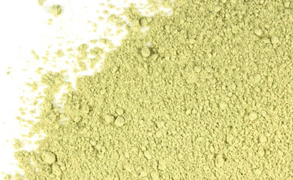 WheatGrass - WheatGrass Powder