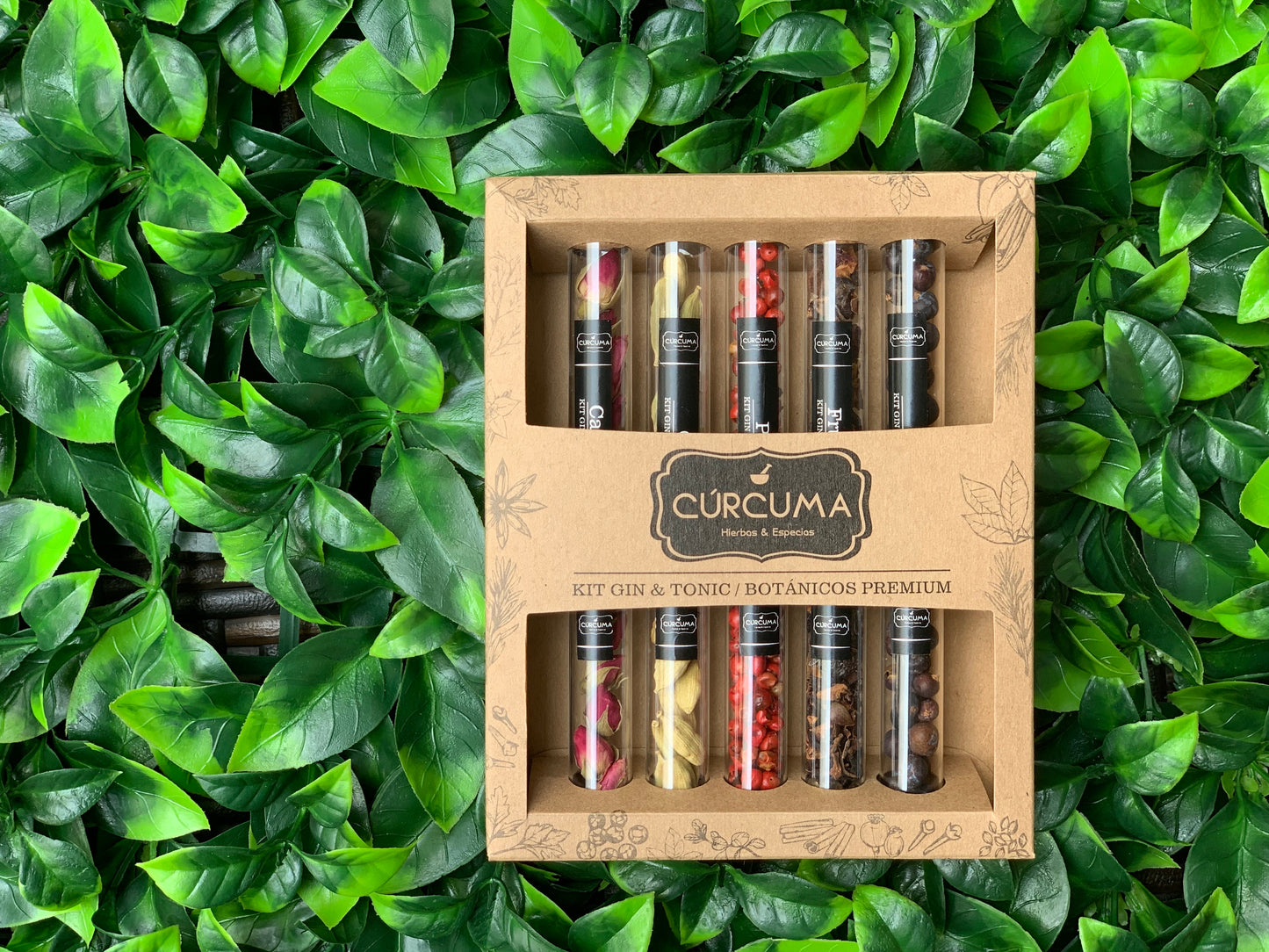 Kit Gin Tonic 5 Botánicos Premium