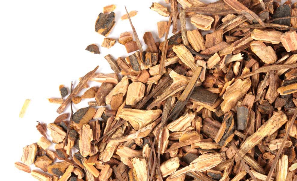 Zarzaparrilla - Sarsaparrilla Root