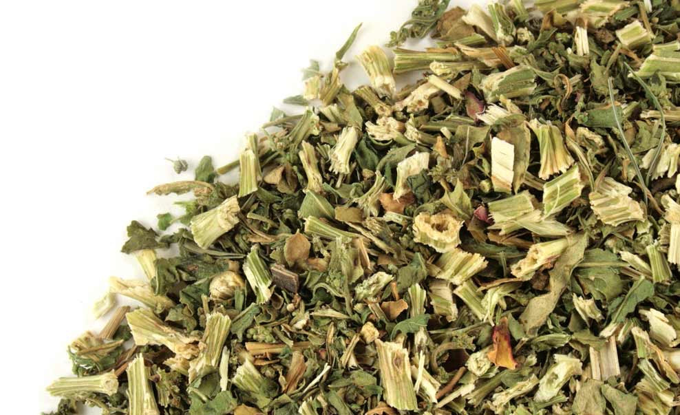 Epazote - Epazote Herb