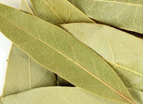 Laurel - Bay Leaf
