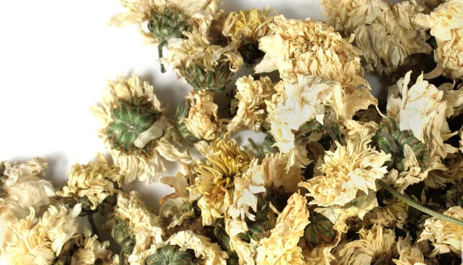 Crisantemo - Chrysanthemum