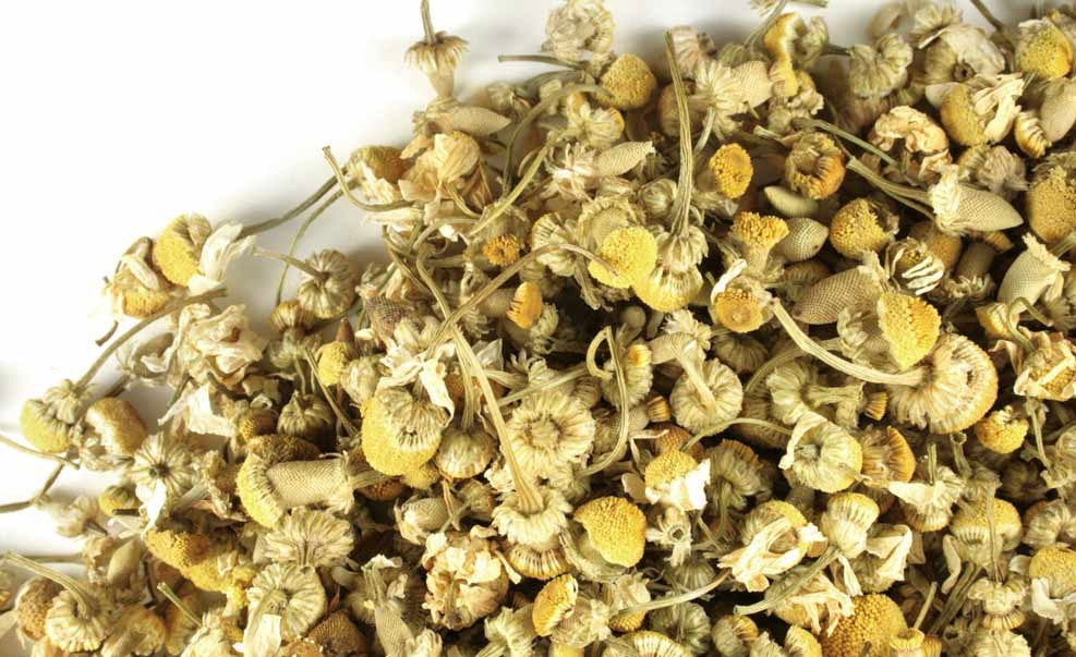 Manzanilla Egipcia Entera - Chamomile (Egyptian)