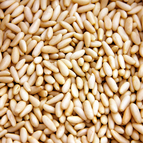 Piñon - Pine nut