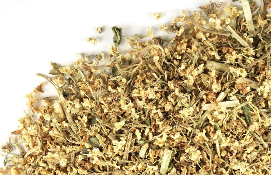 Flor de Saúco - Elderflower