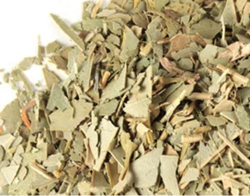 Eucalipto - Eucalyptus