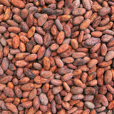 Cacao Beans Orgánico