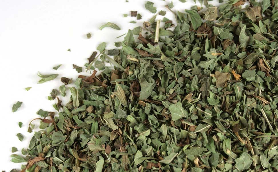 Melissa - Lemon Balm