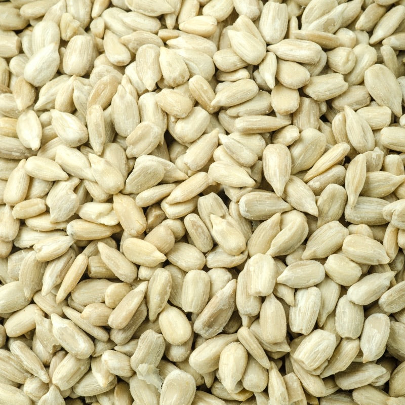 Semilla Girasol - Sunflower Seed