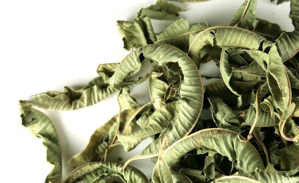 Limón Verbena - Lemon Verbena